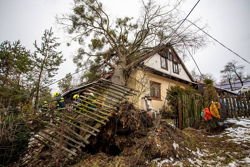 Silný vítr zlomil strom, který spadl na střechu rodinného domu, 10. února 2020 v Morávce.