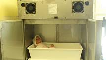 Po jedenácti letech byla ve frýdecko-místecké nemocnici provedena výměna babyboxu za novější typ.