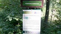 Peřeje na řece Ostravici ve stejnojmenné beskydské obci jsou vyhlášeným místem k osvěžení, srpen 2022.