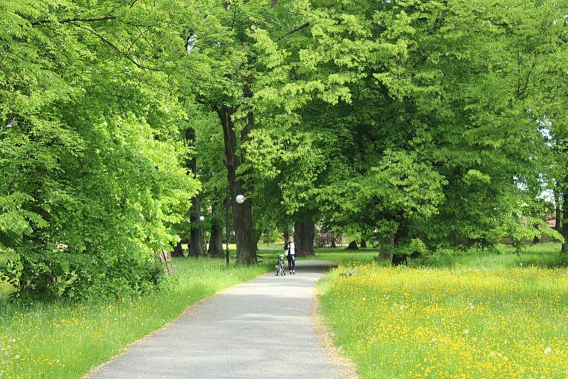 Zámek a zámecký park, Paskov.