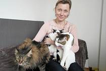 Julia už v ostravském ubytování s kočičími společníky Marfou (zleva), Kuziou a Martinem. Březen 2022.