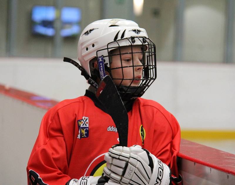 Slavnostnímu otevření nové sportovní haly Polárka předcházelo představení žáčků místního hokejového klubu HC Frýdek-Místek. 