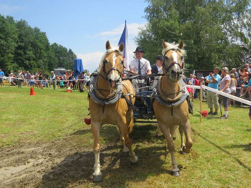 U Lomňanského muzea se konal šestý ročník Vozatajských závodů, kterého se zúčastnili jak závodníci z Česka, tak ze zahraničí. 