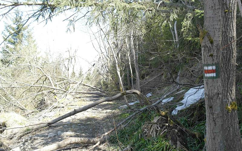 Hora Smrk v Beskydech se nedá turistům jen tak zadarmo. Cesta na vrchol není snadná. To bohužel neodradilo vandaly, kteří poničili mohylu s plaketou na počest Jana Palacha,