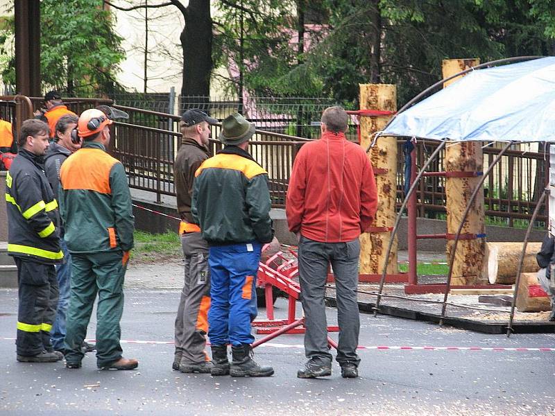 V areálu místního parku ve Vendryni se v sobotu 28. května konala akce Mezinárodní soutěž Slezský dřevorubec 2011.