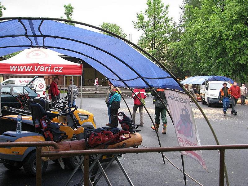 V areálu místního parku ve Vendryni se v sobotu 28. května konala akce Mezinárodní soutěž Slezský dřevorubec 2011.