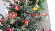 Tradiční vánoční výstava začala v sobotu 8. prosince v Morávce. Třídenní akci pravidelně pořádají místní zahrádkáři.