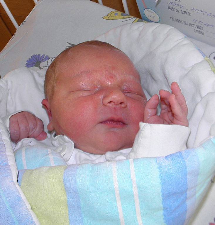 První miminko se narodilo 11. listopadu paní Michaele Koppelové z Karviné. Po porodu malý Adámek vážil 3980 g a měřil 52 cm.