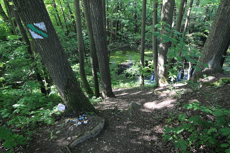 Mořské oko představuje jednu ze zajímavostí obce Horní Domaslavice. Vzniklo uměle při těžbě kamene koncem 18. století.