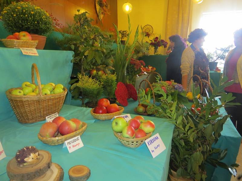 Výstava květin, ovoce a zeleniny ve Frýdlantě nad Ostravicí. 