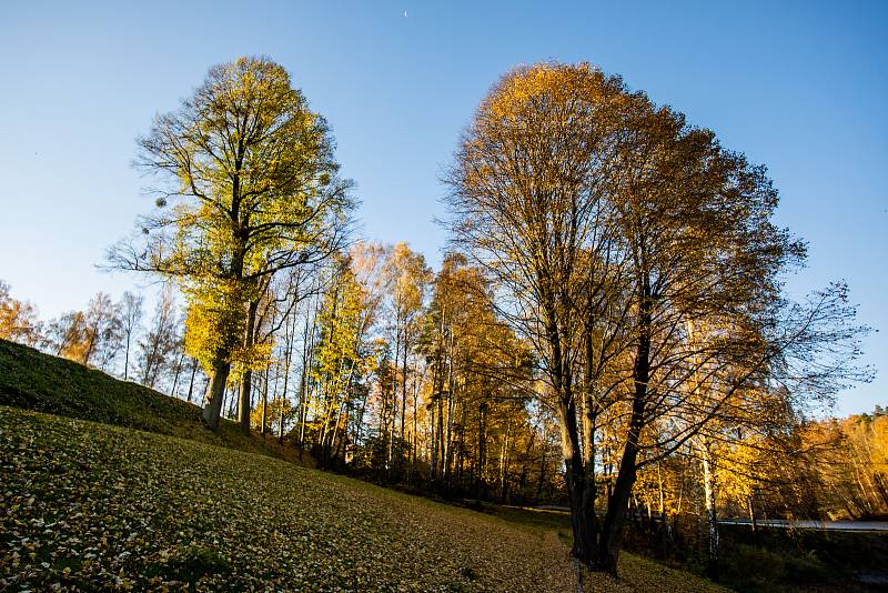 Podzim v okolí Žermanické přehrady, 30. října 2021.