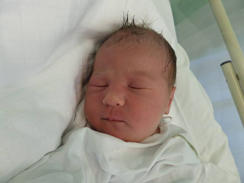 Isabella Nedorostová, Třinec, nar. 1.5., 53 cm, 3,64 kg, Nemocnice Třinec.