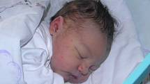 Dominik se narodil 5. listopadu paní Ivetě Šujanské ze Stonavy. Po porodu chlapeček vážil 4360 g a měřil 52 cm.