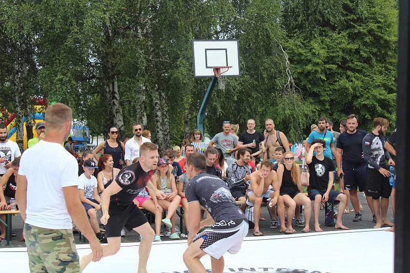 První letní festival jiu-jitsu Milky Way open air se uskutečnil v sobotu na Olešné ve Frýdku-Místku.