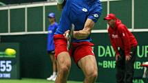 Davis cup 2016, Česko - Francie, Werk aréna Třinec.