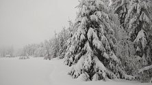 Stromy v Beskydech se bortí pod tíhou sněhu.
