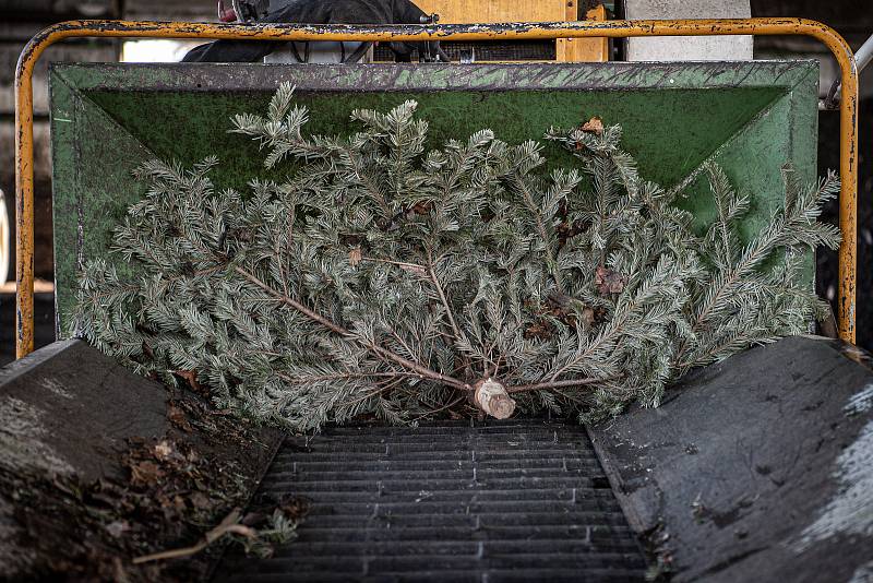 V areálu třineckého sběrného dvora a kompostárny zpracovávali 19. ledna 2022 popeláři svezené vánoční stromky z Třince. Dřevní štěpka, která po smíchání s bioodpadem slouží k výrobě tradičního kompostu.