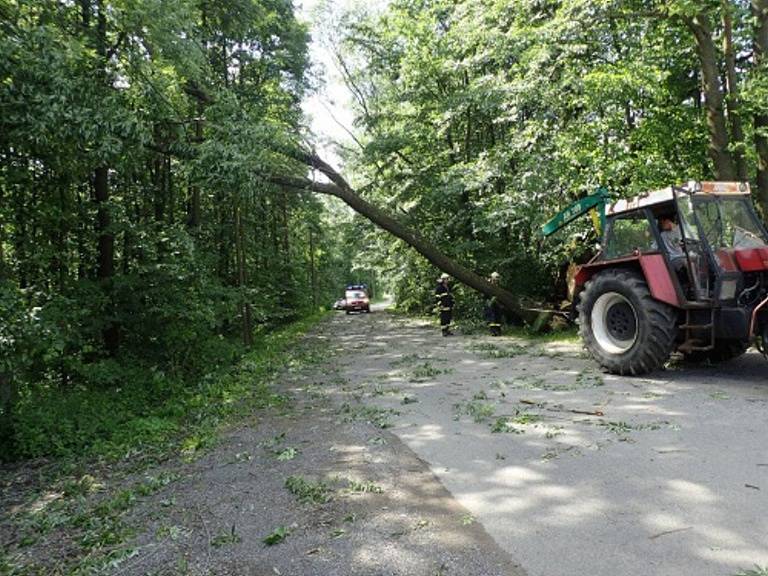 Ve Vojkovicích museli hasiči před poražením stromu odstřihnout elektrické dráty, při odstraňování stromu pomohl starostou zajištěný traktor. 