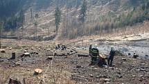 Požár šesti hektarů různého lesního porostu u Palkovic.