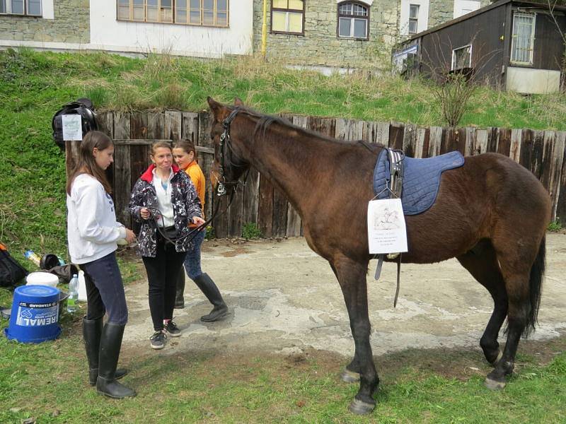 O sedmnáctý ročník akce s názvem Otvírání ondřejnických studánek, který se konal v sobotu 23. dubna ve Frýdlantu nad Ostravicí, byl opět velký zájem.