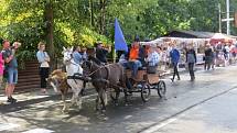 U Lomňanského muzea se konal šestý ročník Vozatajských závodů, kterého se zúčastnili jak závodníci z Česka, tak ze zahraničí. 