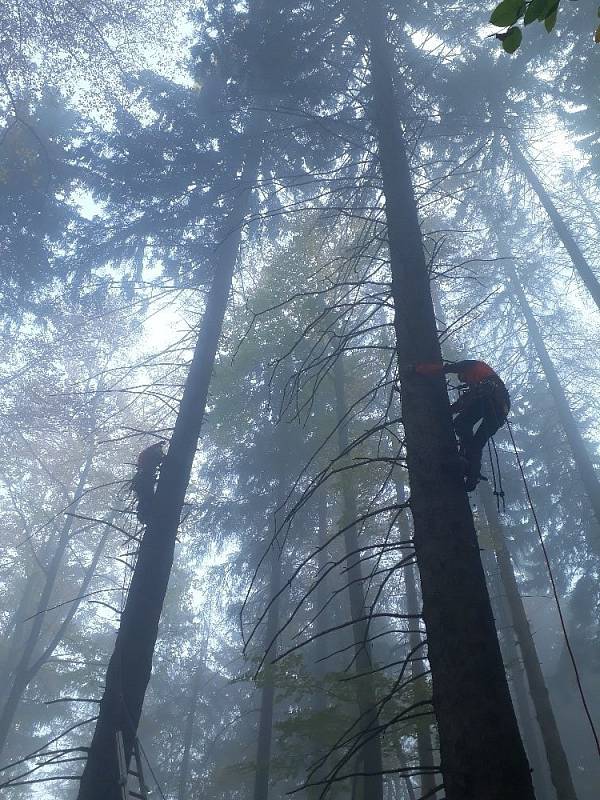 Záchrana paraglidistky ze stromu pod Javorovým vrchem v Beskydech.