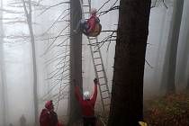 Záchrana paraglidistky ze stromu pod Javorovým vrchem v Beskydech.
