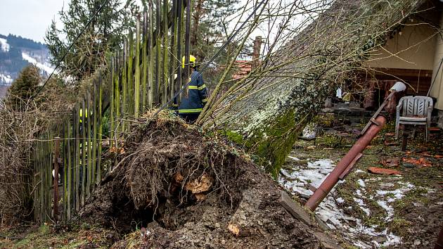 Silný vítr zlomil strom, který spadl na střechu rodinného domu, 10. února 2020 v Morávce.