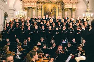 Moravskoslezská Sinfonietta vznikla v roce 2011 jako občanské sdružení v malebné obci Řepiště na Frýdecko-Místecku.