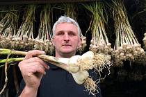 Zemědělci - amatérovi z Bocanovic zaregistrovali oficiálně novou odrůdu česneku: Beskydský paličák, 3. 8. 2023.