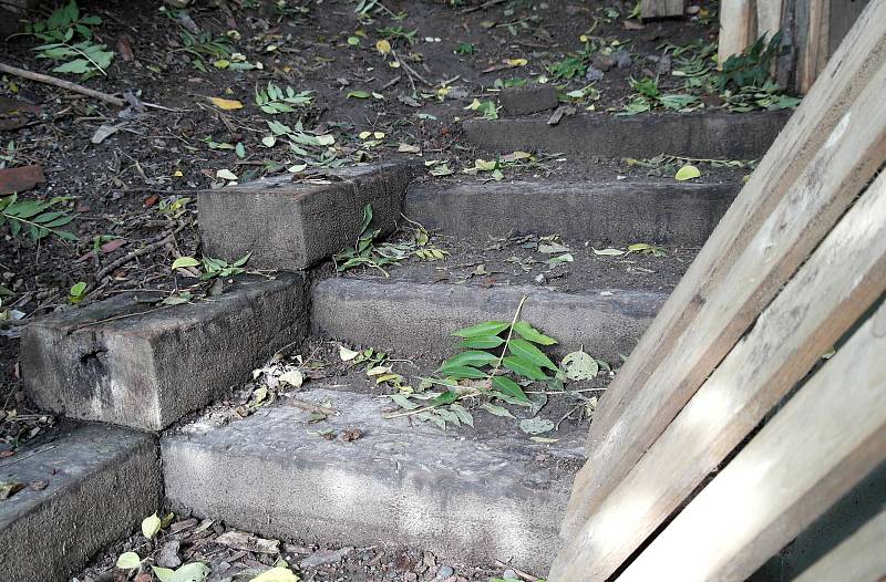 Terén na frýdeckých Jižních svazích, kde jsou zapomenuté staré kamenné schody. Radnice má plány začlenit je do revitalizovaného parku a nové pěší trasy, 5. 10. 2022