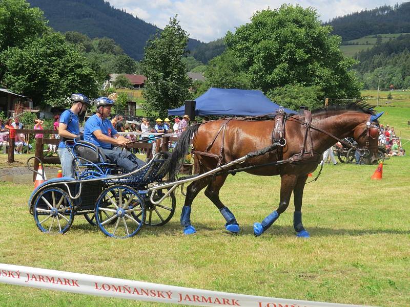 U Lomňanského muzea se konal šestý ročník Vozatajských závodů, kterého se zúčastnili jak závodníci z Česka, tak ze zahraničí. 