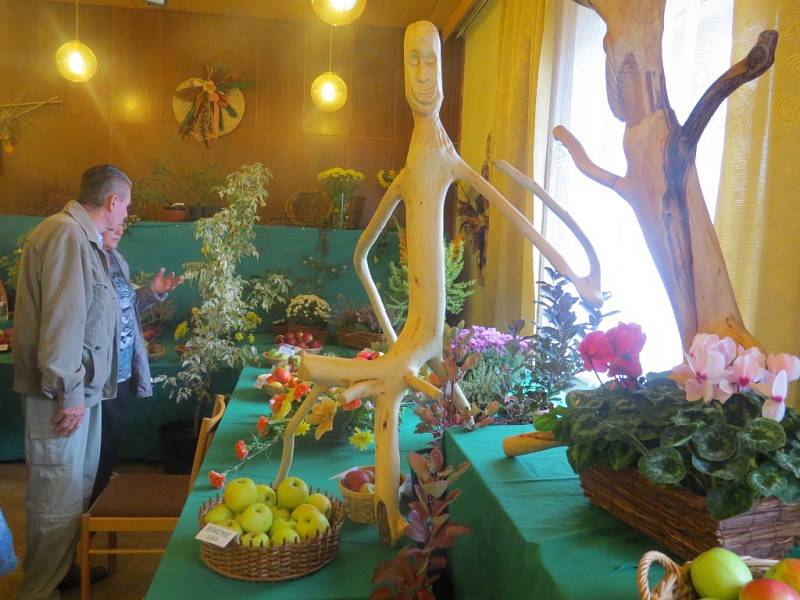 Výstava květin, ovoce a zeleniny ve Frýdlantě nad Ostravicí. 