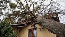 Silný vítr zlomil strom, který spadl na střechu rodinného domu, 10. února 2020 v Morávce.