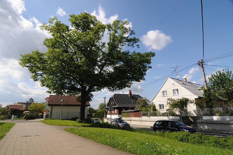 Obec Staré Město.