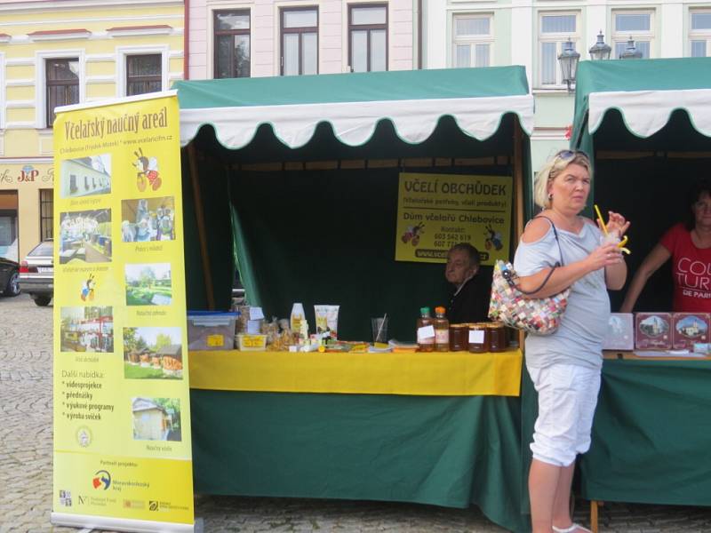 Festival partnerských měst ve Frýdku-Místku. 