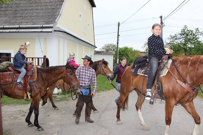 Včelí rojení v Chlebovicích. 