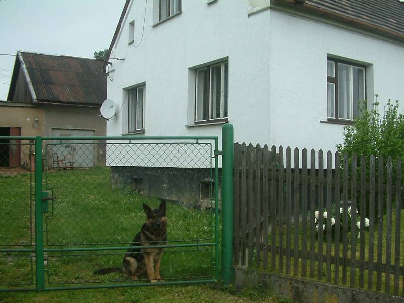 V tomto domku v Žermanicích řádili tři ozbrojení muži, kteří v garáži (vlevo nahoře) vyráběli pervitin. Pachatele před zásahem policie neochránil ani statný vlčák.