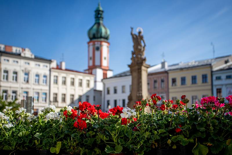 Farmářské trhy na místeckém náměstí Svobody, 7. května 2020 ve Frýdku-Místku.