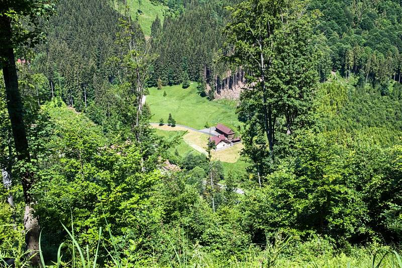 Prales Mionší leží v Těšínských Beskydech u obce Dolní Lomná na Frýdecko-Místecku a patří mezi nejzachovalejší svého druhu.