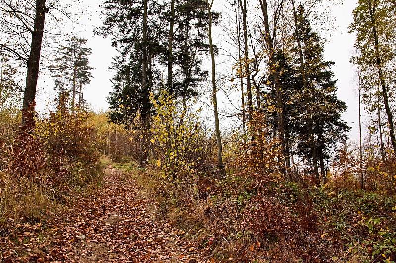 Kozlovická hora je nejvyšší z pěti vrcholů malebného pohoří mezi obcemi Palkovice, Myslík, Lhotka a Metylovice.