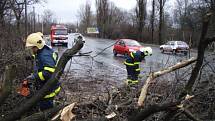 Hasiči odstraňují následky vichřice Emmy, která se v sobotu přehnala také Moravskoslezským krajem.