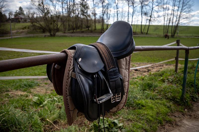Stáj Newport se specializuje na chov a výcvik koní, nachází v Dolních Domaslavicích nedaleko Žermanické přehrady. Část  jezdeckého areálu je zasazena do příjemného údolí. Snímek z konce dubna 2021.