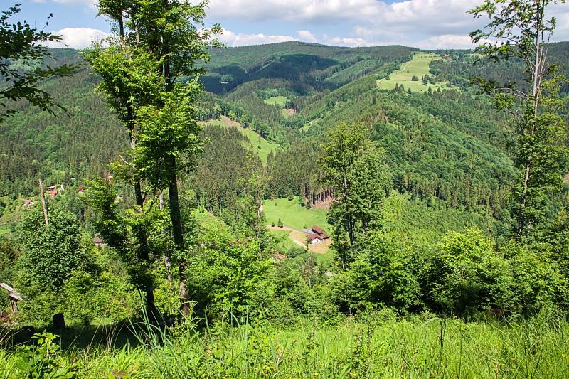 Prales Mionší leží v Těšínských Beskydech u obce Dolní Lomná na Frýdecko-Místecku a patří mezi nejzachovalejší svého druhu.