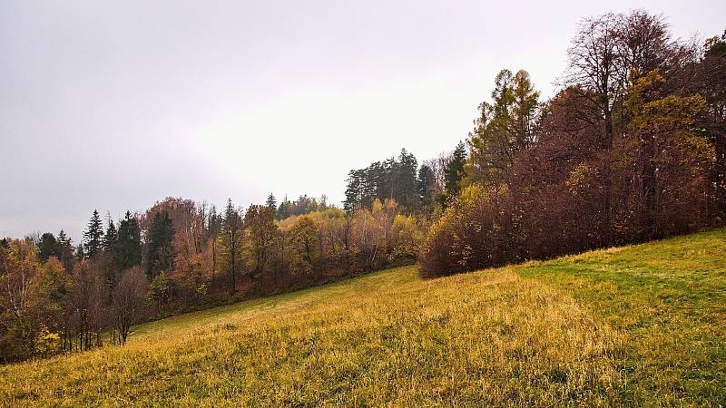 Kozlovická hora je nejvyšší z pěti vrcholů malebného pohoří mezi obcemi Palkovice, Myslík, Lhotka a Metylovice.