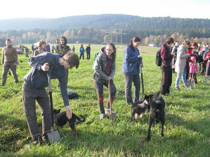 První jabloně, duby a buky vysadili v sobotu dopoledne obyvatelé Jablunkova a další dobrovolníci společně s Hnutím DUHA na rozlehlé louce v lokalitě Městská Lomná.