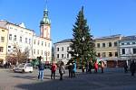 Stavění vánočního stromu na místeckém náměstí.