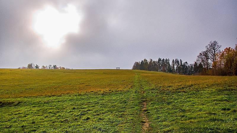 Kozlovická hora je nejvyšší z pěti vrcholů malebného pohoří mezi obcemi Palkovice, Myslík, Lhotka a Metylovice.