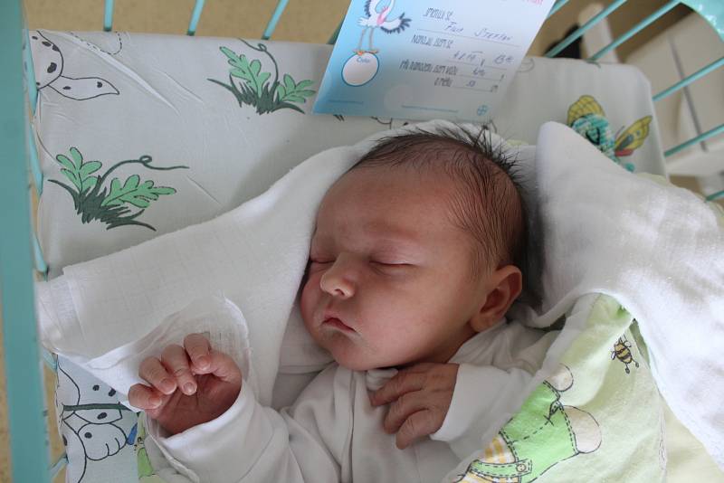Maminka Eva Steffanová přivedla 4. srpna na svět syna Filípka.  Po narození vážil 4290 g a měřil 53 cm.