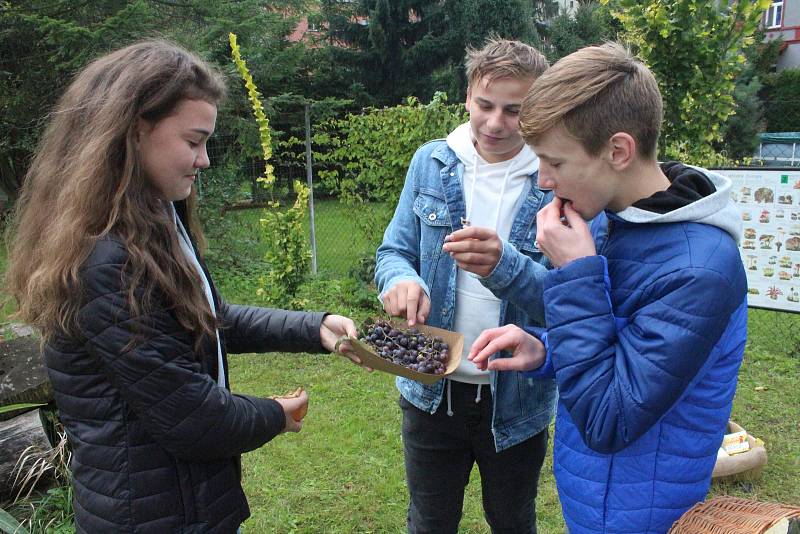 Albrechtova střední škola v českém Těšíně pořádala už 16. ročník biojarmarku.